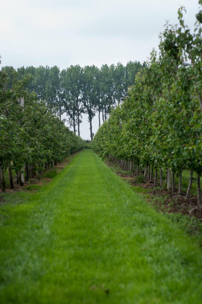 Hoeve Oude Tol Zuidzande Exteriör bild
