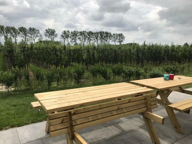 Hoeve Oude Tol Zuidzande Exteriör bild